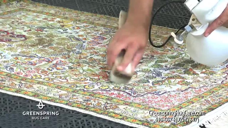 Real Rug Wipe Say Goodbye to Stubborn Stains: The Best Rug Spot Removal