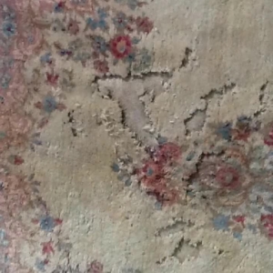 How To Identify Moth Damage To Your Area Rug