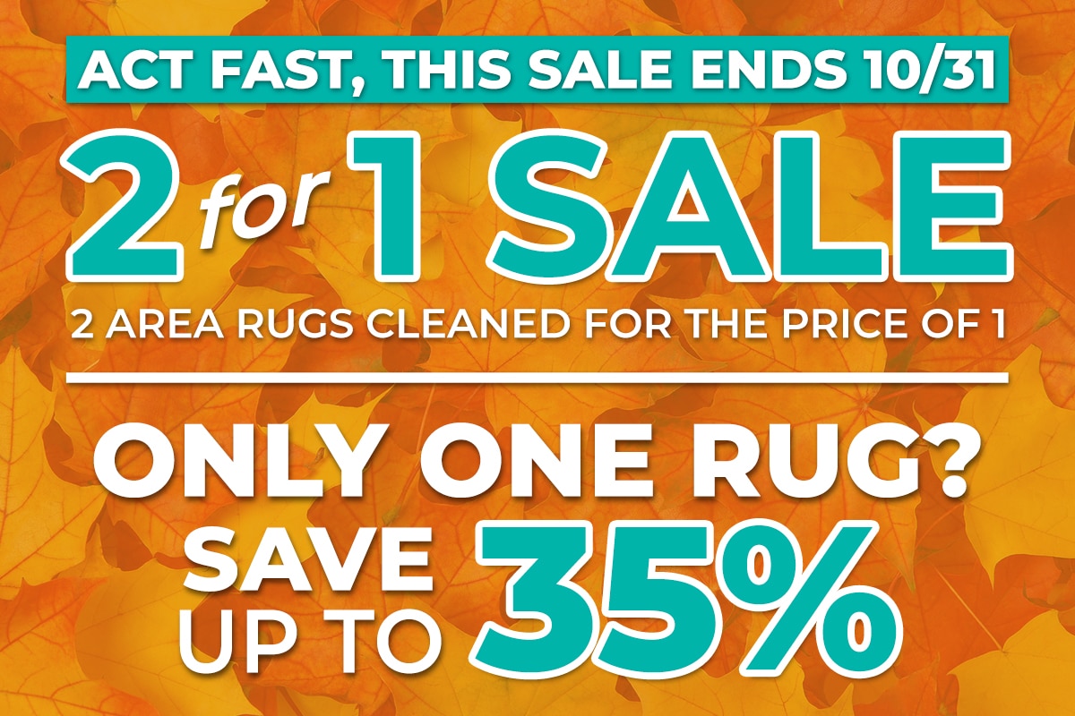Area Rug Cleaning Discounts Baltimore