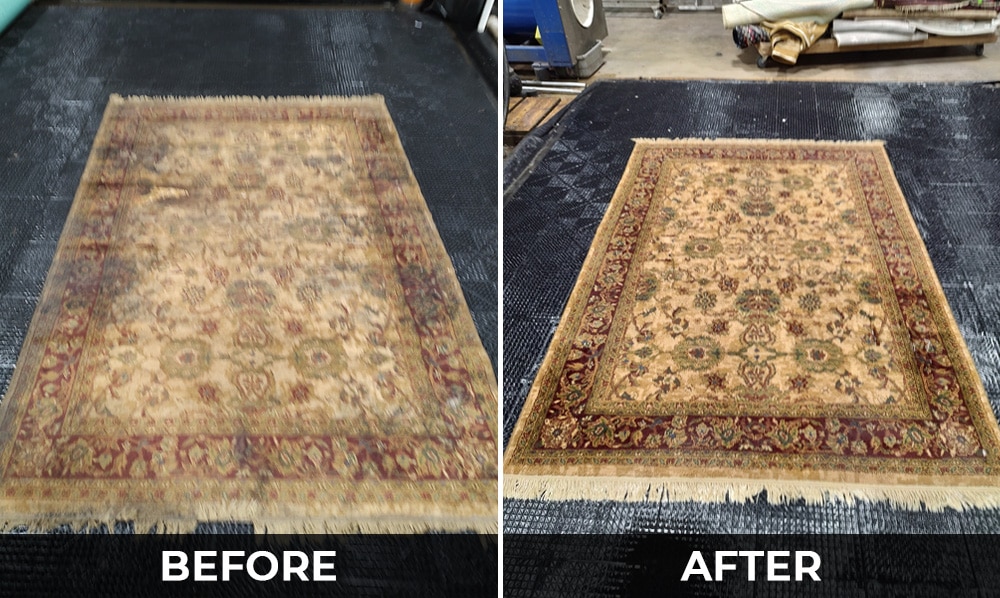 Baltimore County MD Rug Stain Removal Services