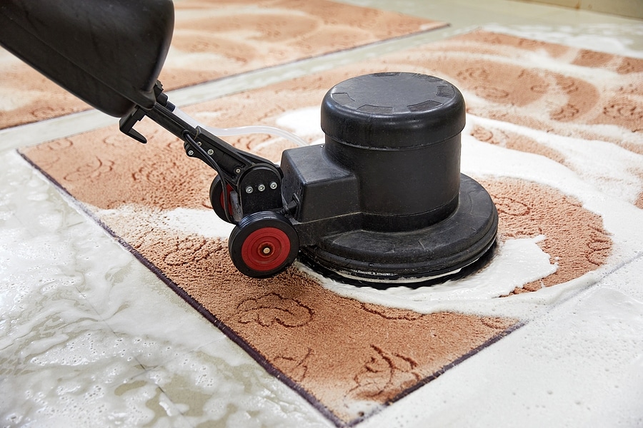 Can Water-Damaged Rugs Be Saved?